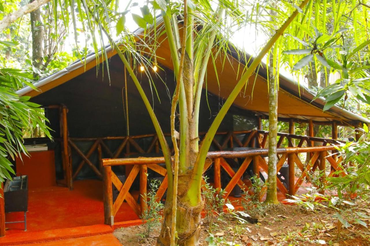 Greens Tree House & Wood House Sultan Bathery Dış mekan fotoğraf