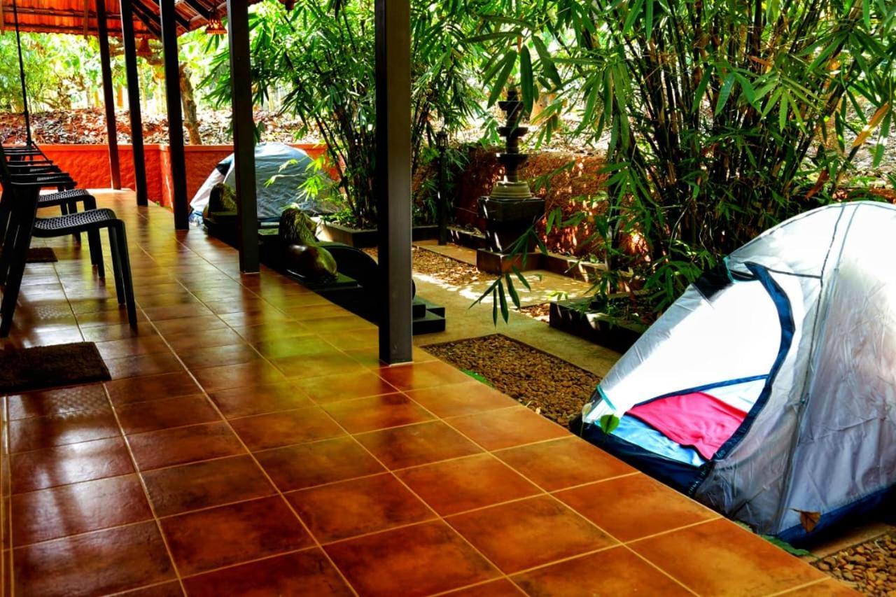 Greens Tree House & Wood House Sultan Bathery Dış mekan fotoğraf