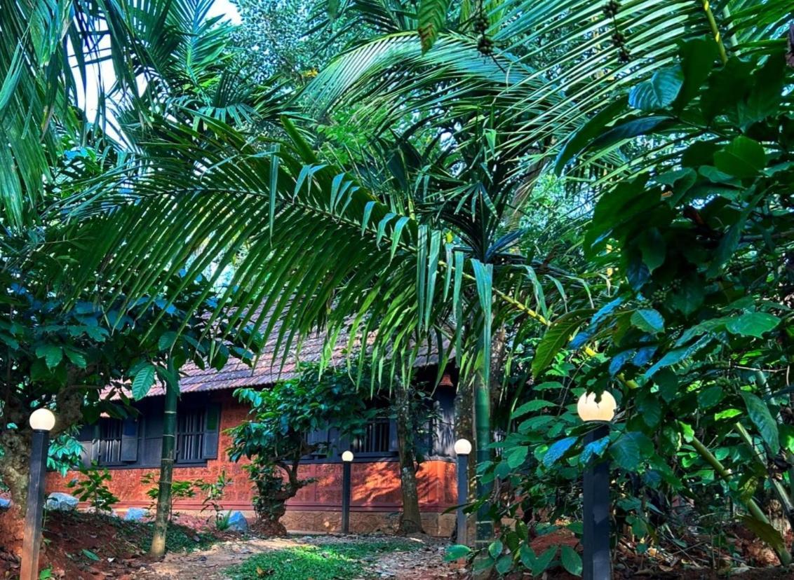 Greens Tree House & Wood House Sultan Bathery Dış mekan fotoğraf