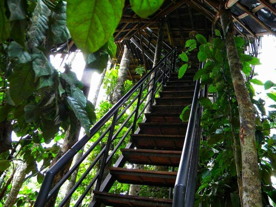 Greens Tree House & Wood House Sultan Bathery Dış mekan fotoğraf