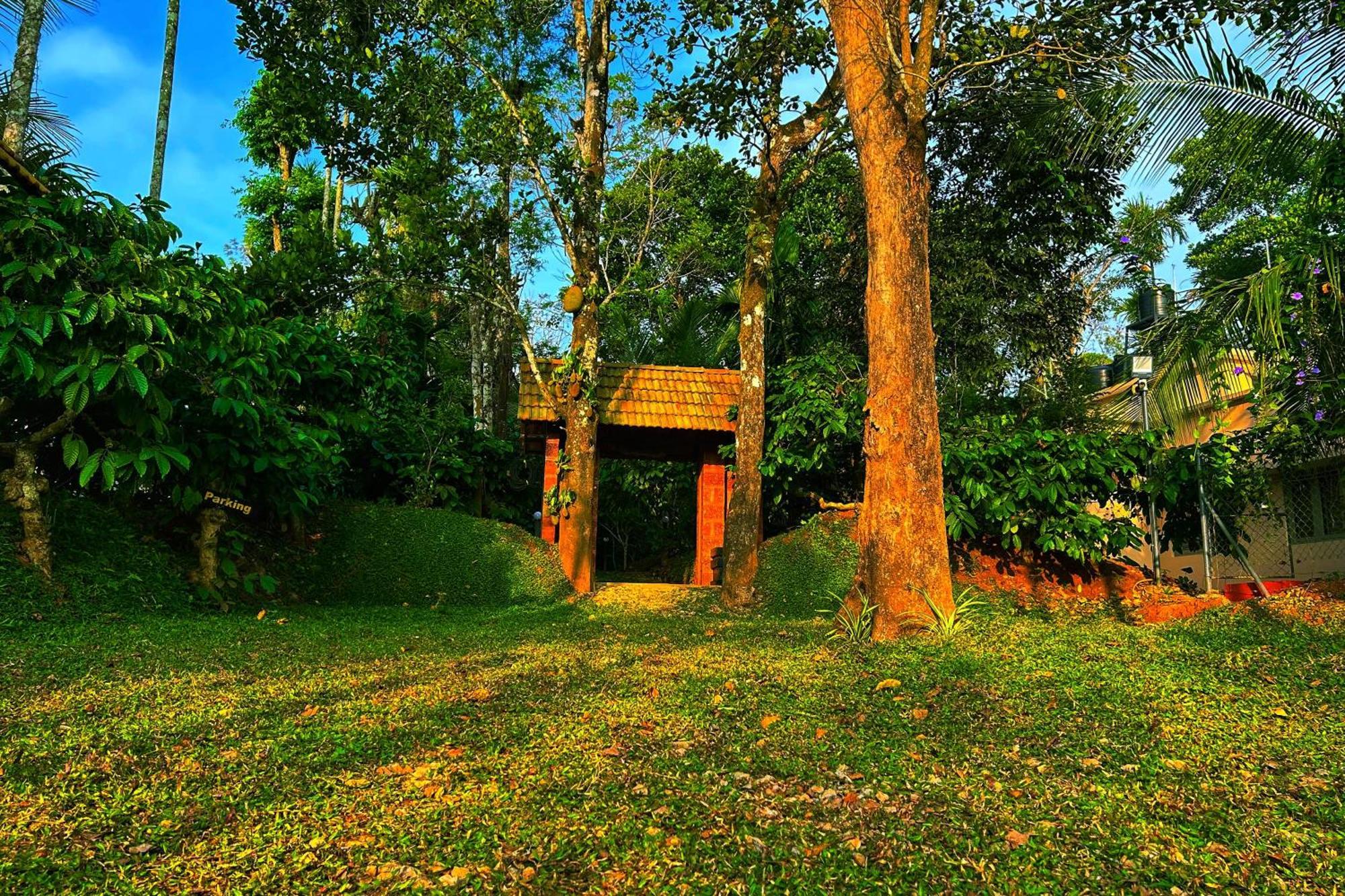 Greens Tree House & Wood House Sultan Bathery Dış mekan fotoğraf