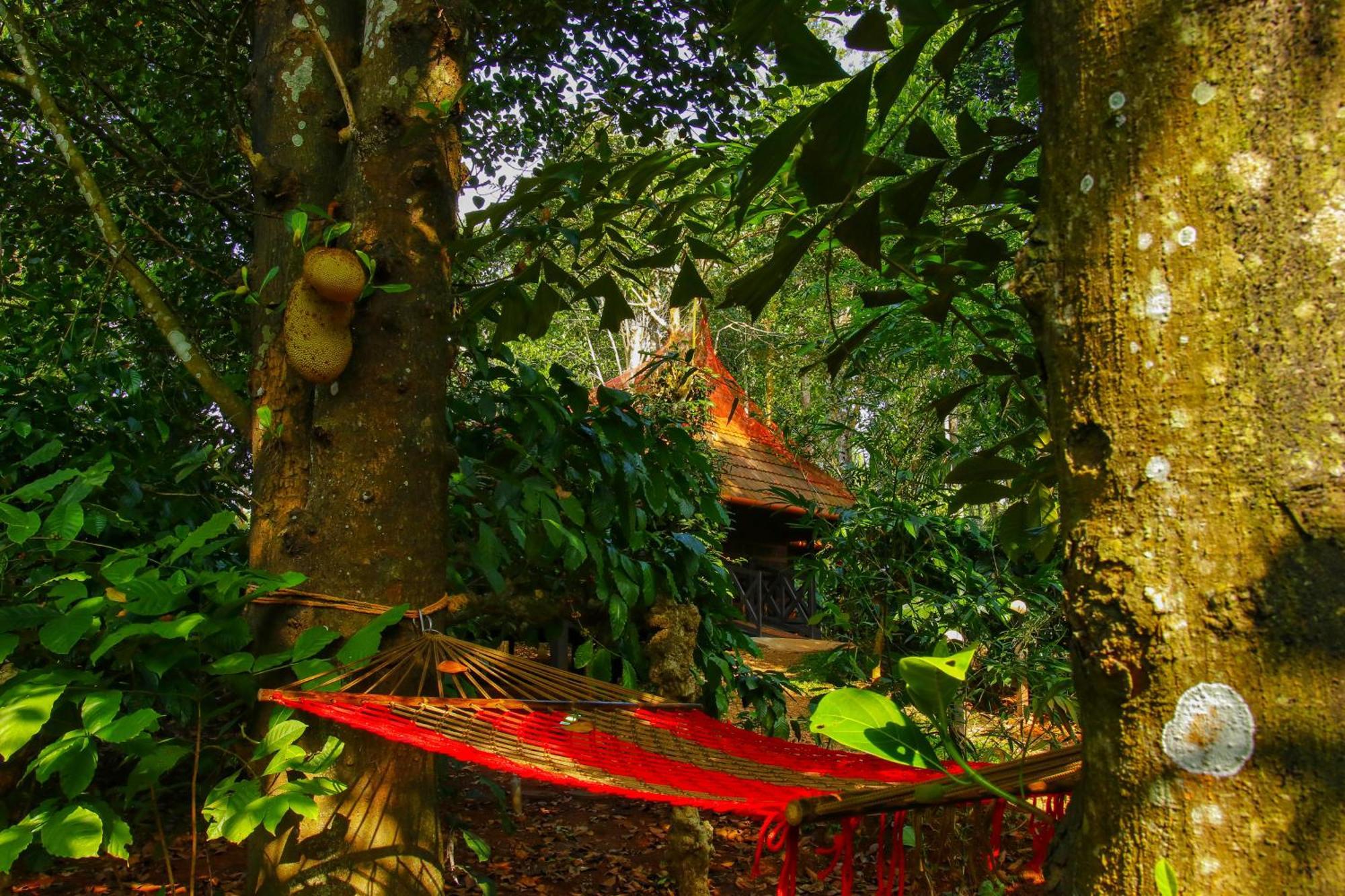 Greens Tree House & Wood House Sultan Bathery Dış mekan fotoğraf