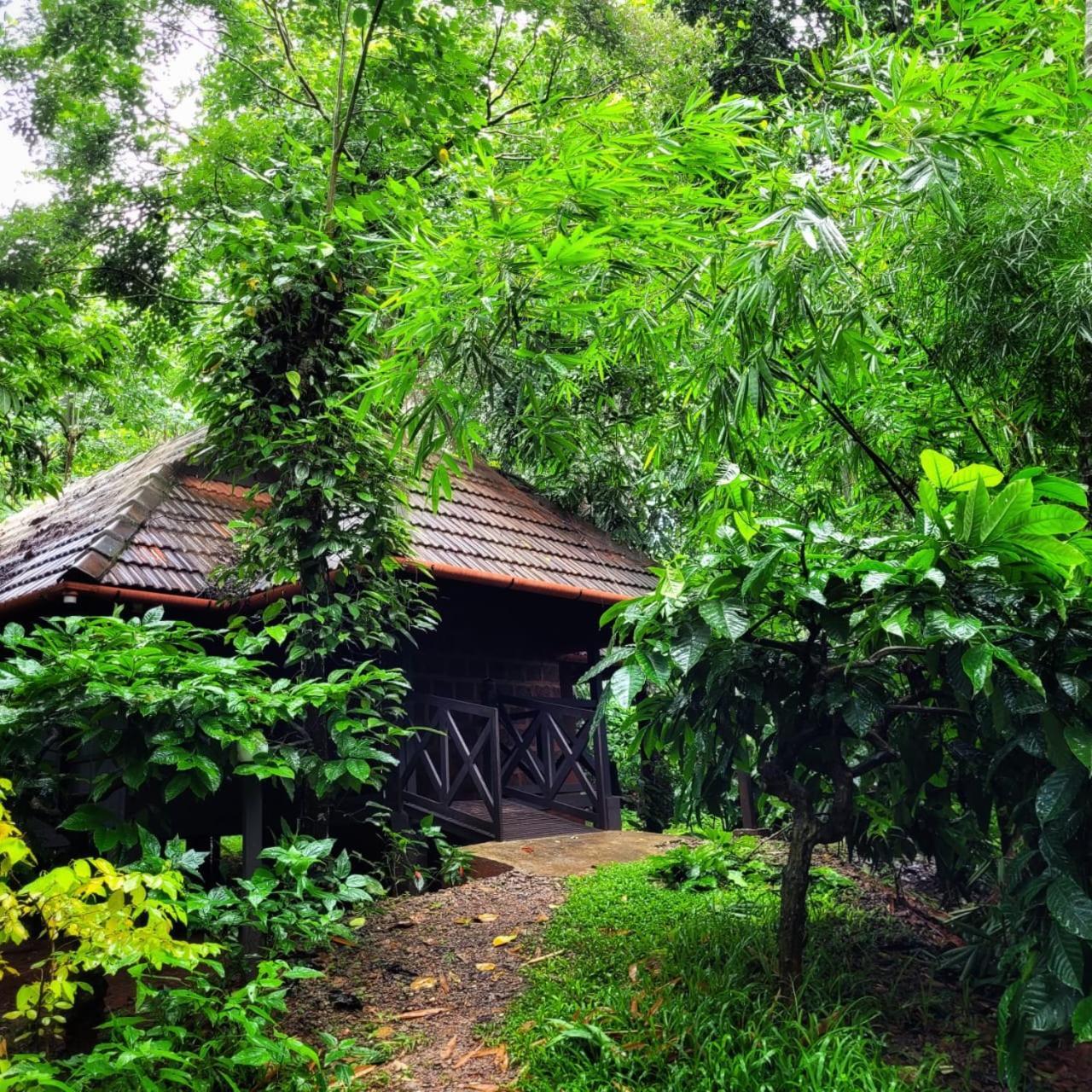 Greens Tree House & Wood House Sultan Bathery Dış mekan fotoğraf