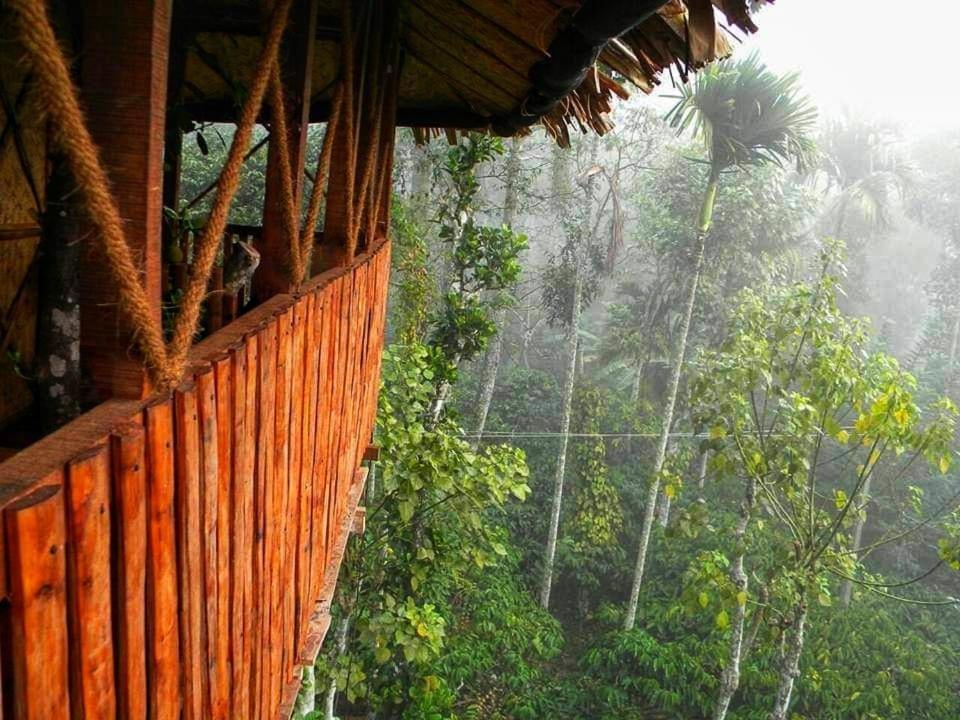 Greens Tree House & Wood House Sultan Bathery Dış mekan fotoğraf
