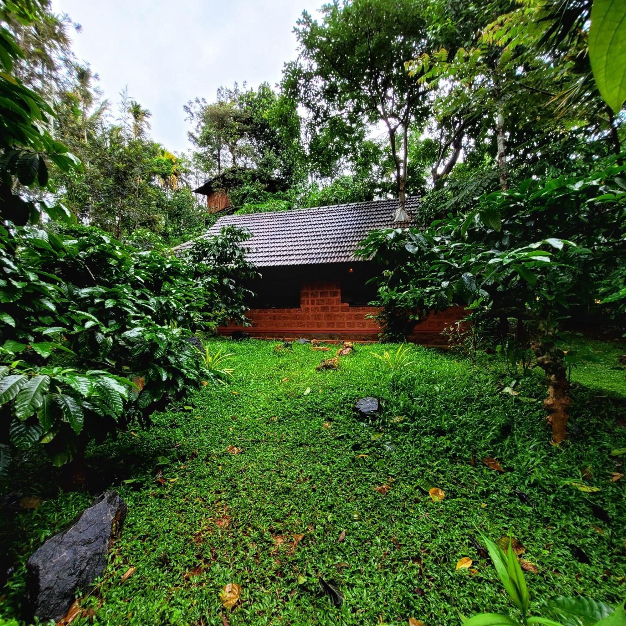 Greens Tree House & Wood House Sultan Bathery Dış mekan fotoğraf