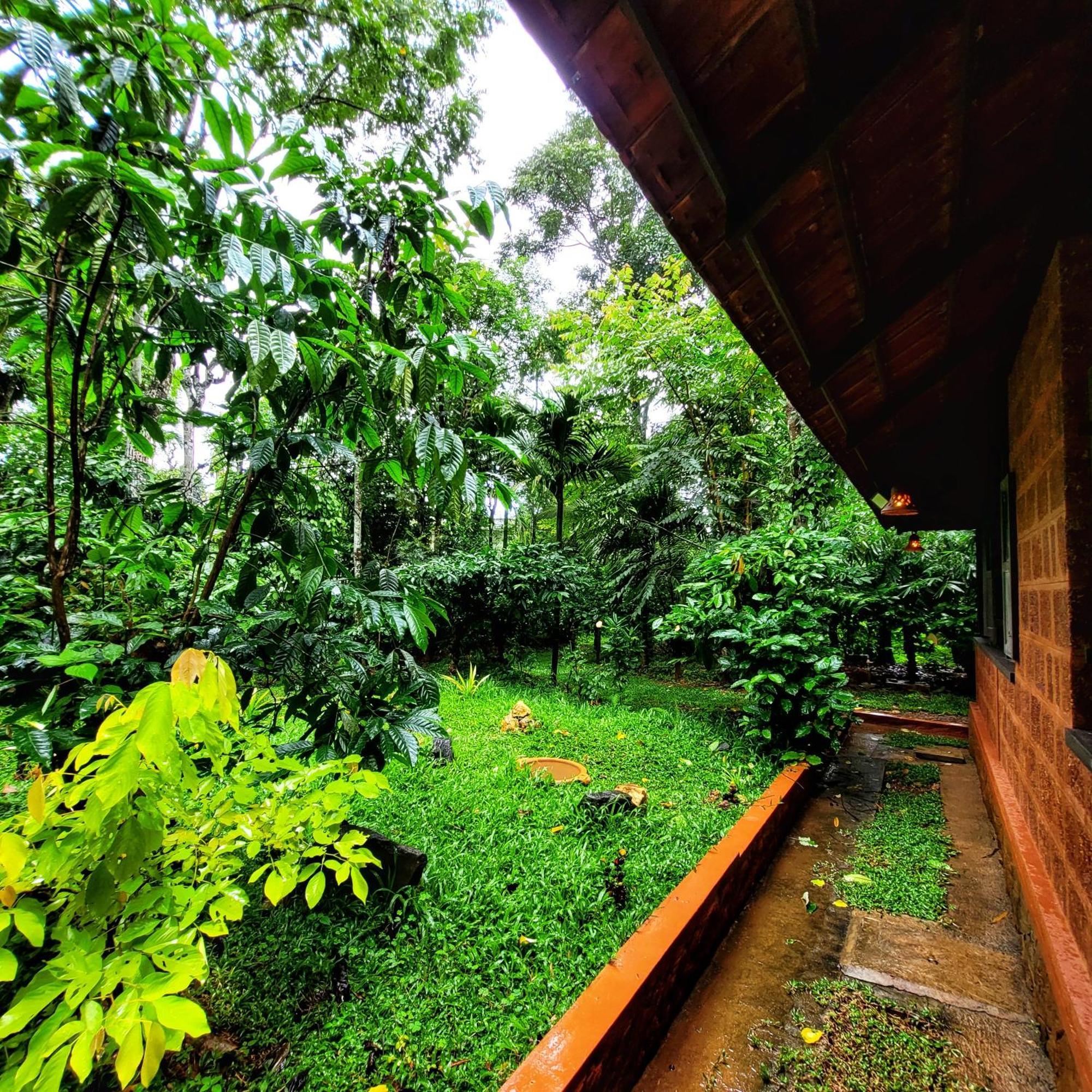 Greens Tree House & Wood House Sultan Bathery Dış mekan fotoğraf