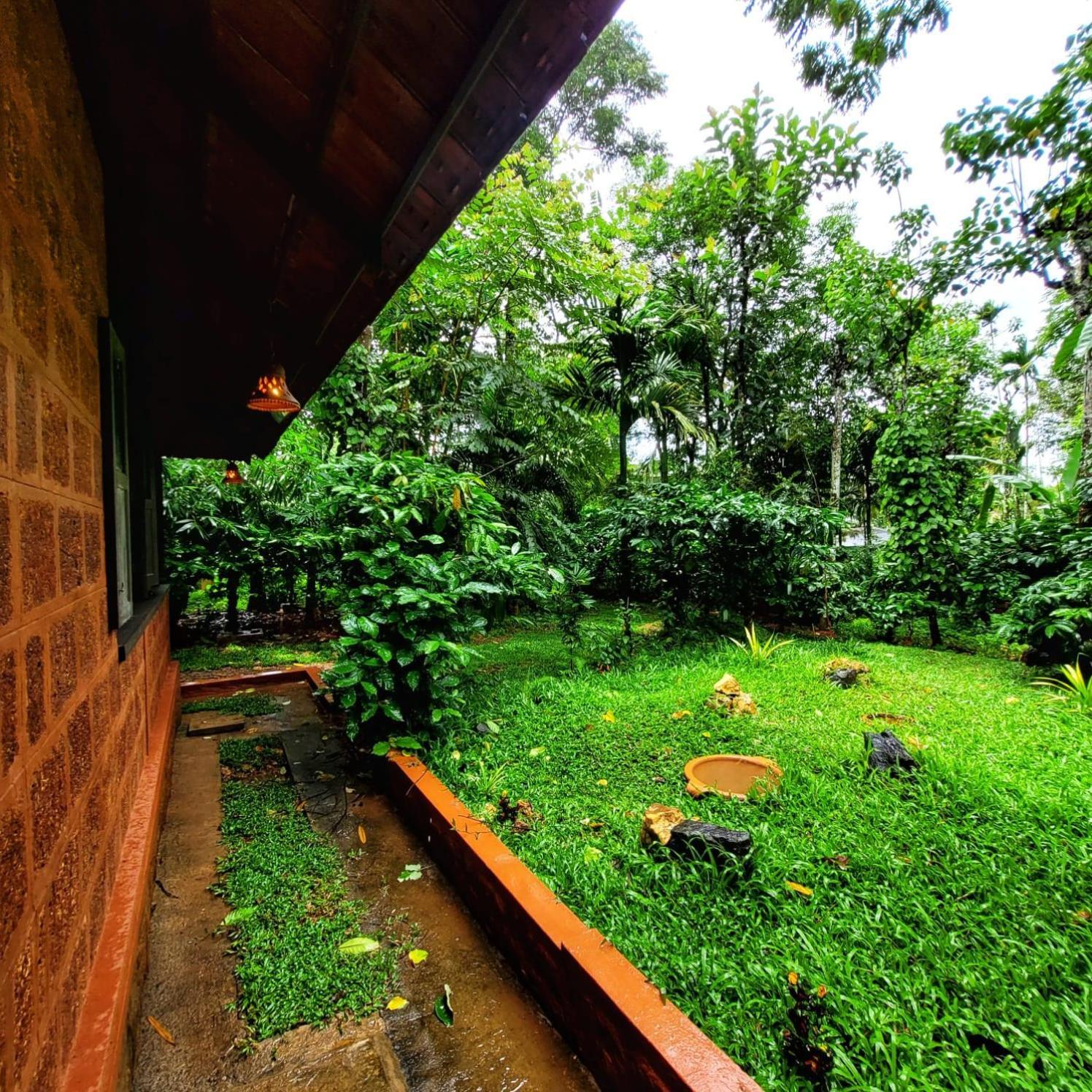 Greens Tree House & Wood House Sultan Bathery Dış mekan fotoğraf