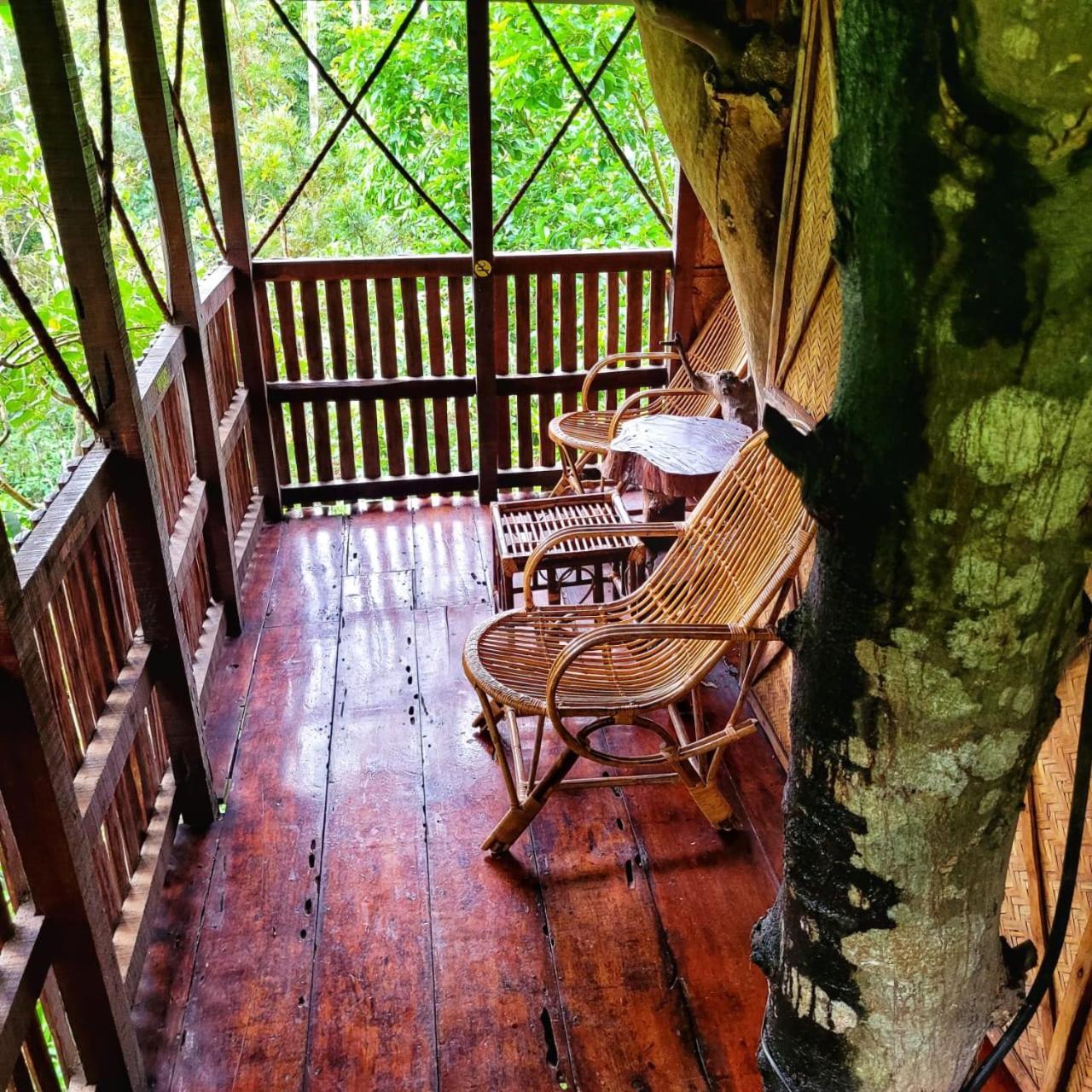 Greens Tree House & Wood House Sultan Bathery Dış mekan fotoğraf