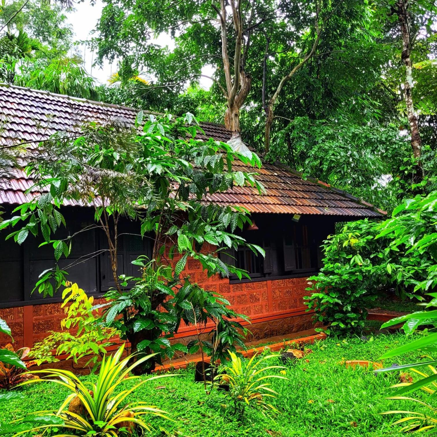 Greens Tree House & Wood House Sultan Bathery Dış mekan fotoğraf
