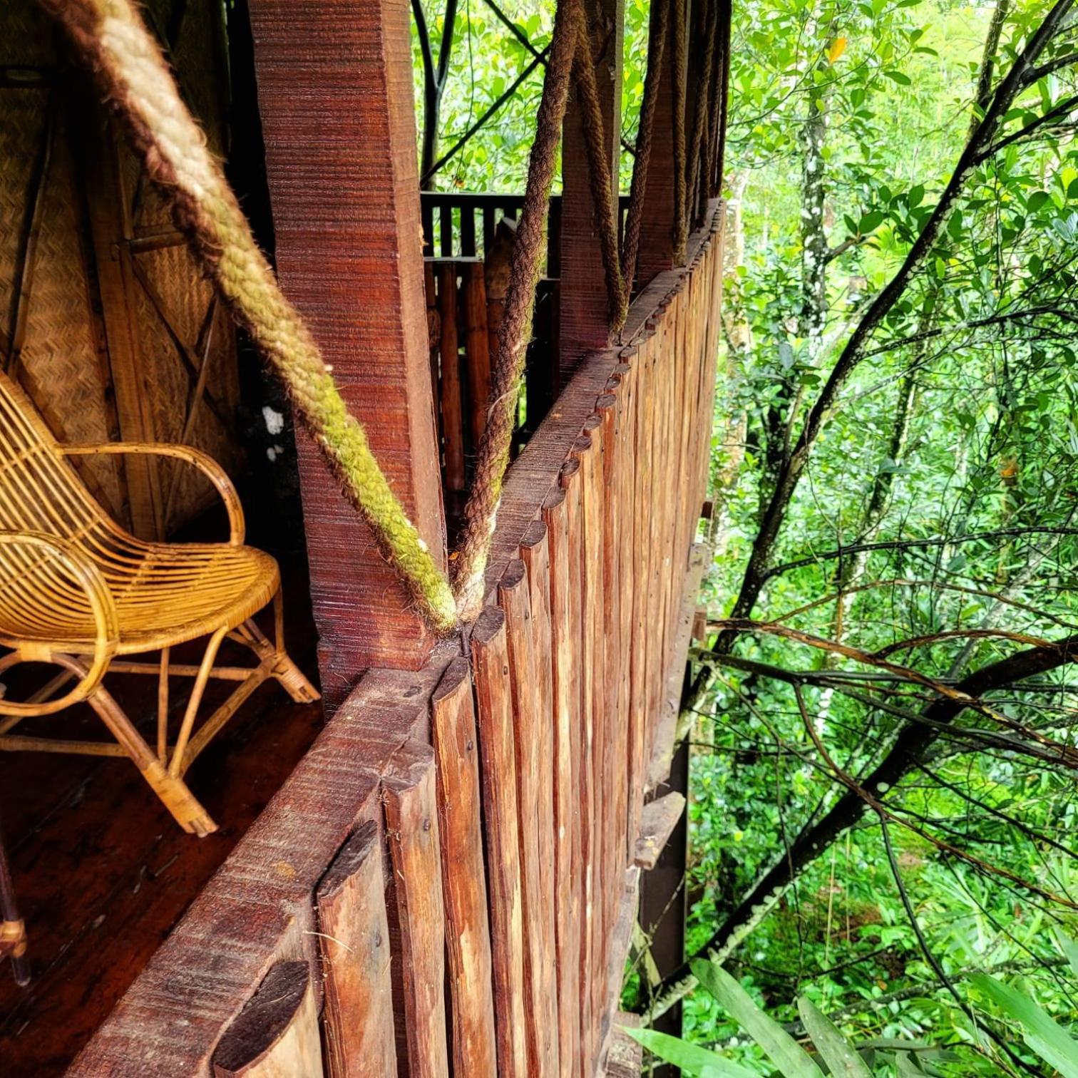 Greens Tree House & Wood House Sultan Bathery Dış mekan fotoğraf