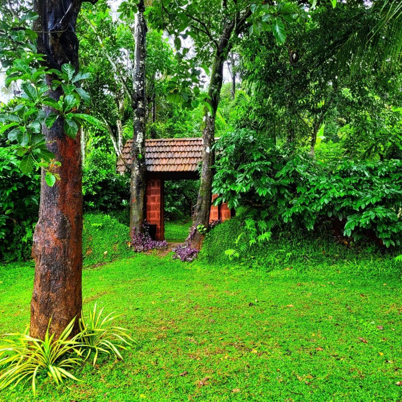 Greens Tree House & Wood House Sultan Bathery Dış mekan fotoğraf