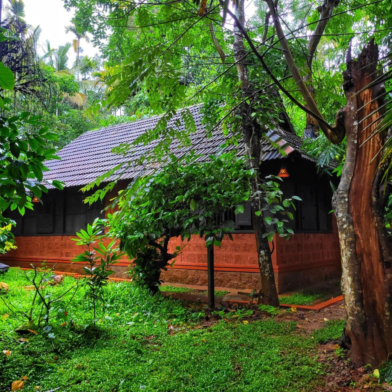 Greens Tree House & Wood House Sultan Bathery Dış mekan fotoğraf