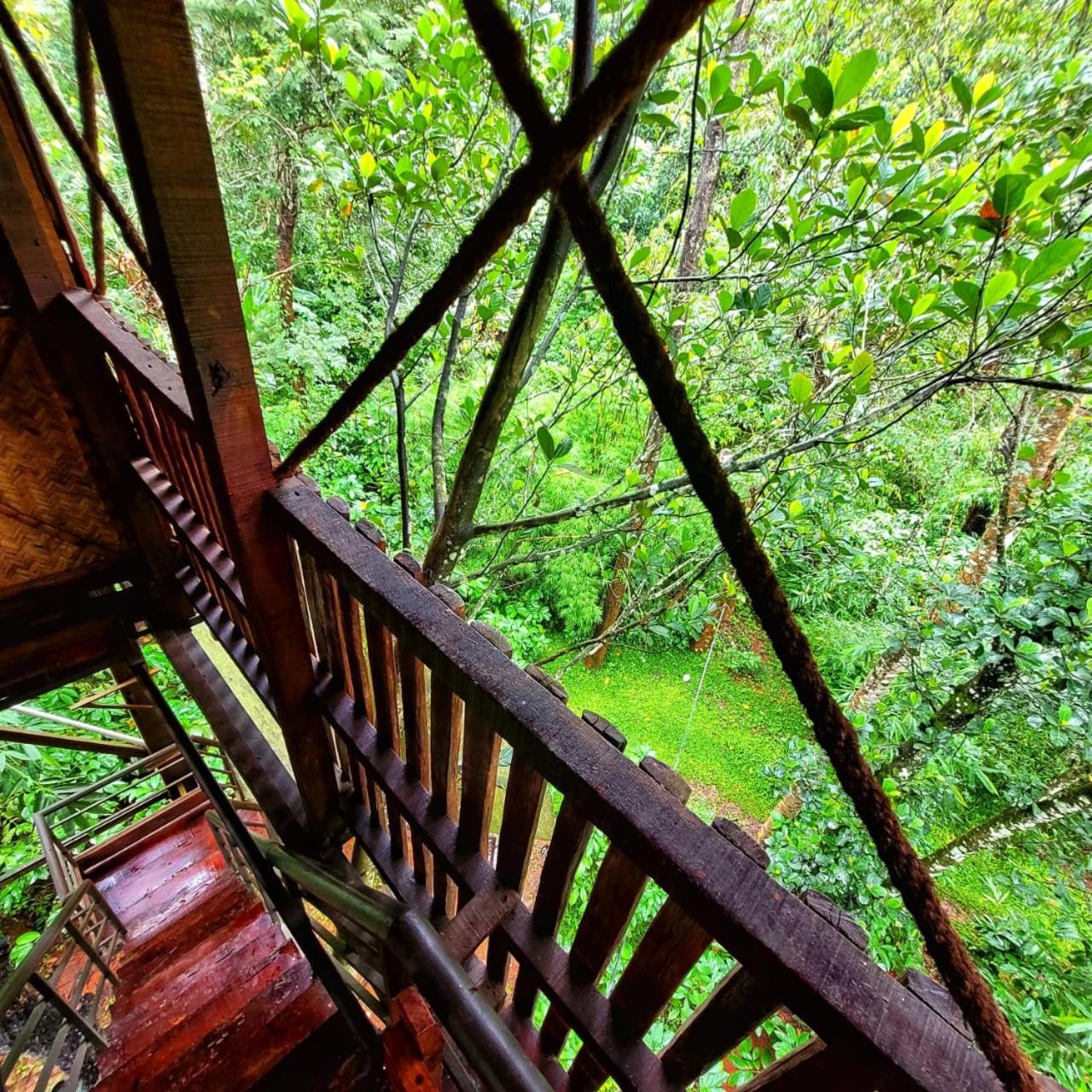 Greens Tree House & Wood House Sultan Bathery Dış mekan fotoğraf
