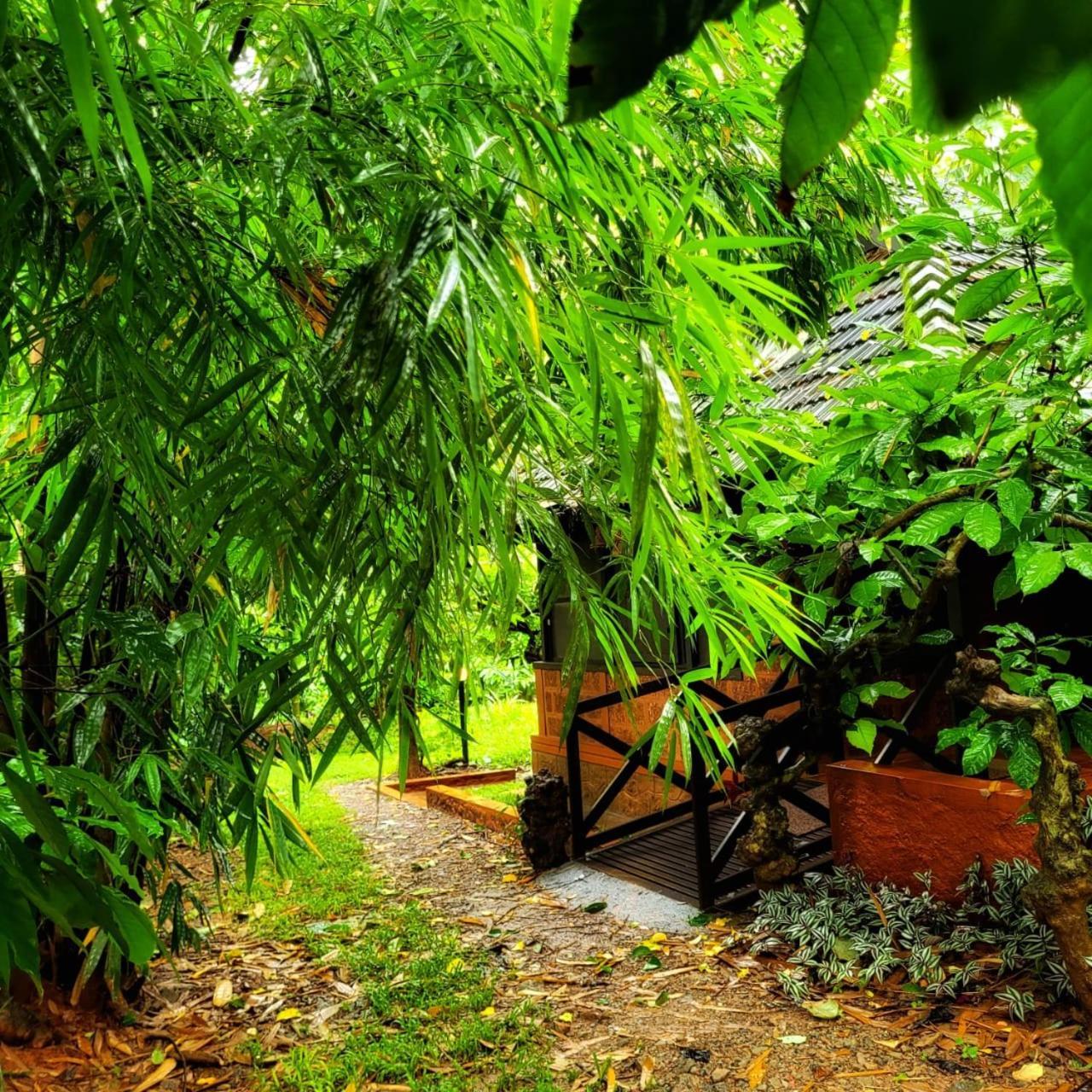 Greens Tree House & Wood House Sultan Bathery Dış mekan fotoğraf