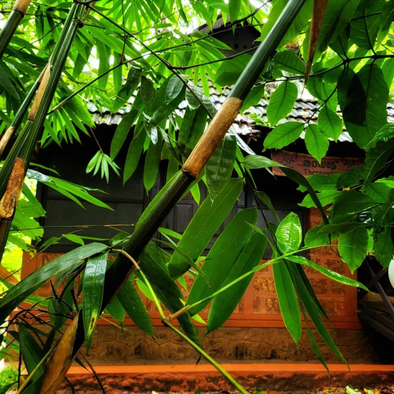 Greens Tree House & Wood House Sultan Bathery Dış mekan fotoğraf