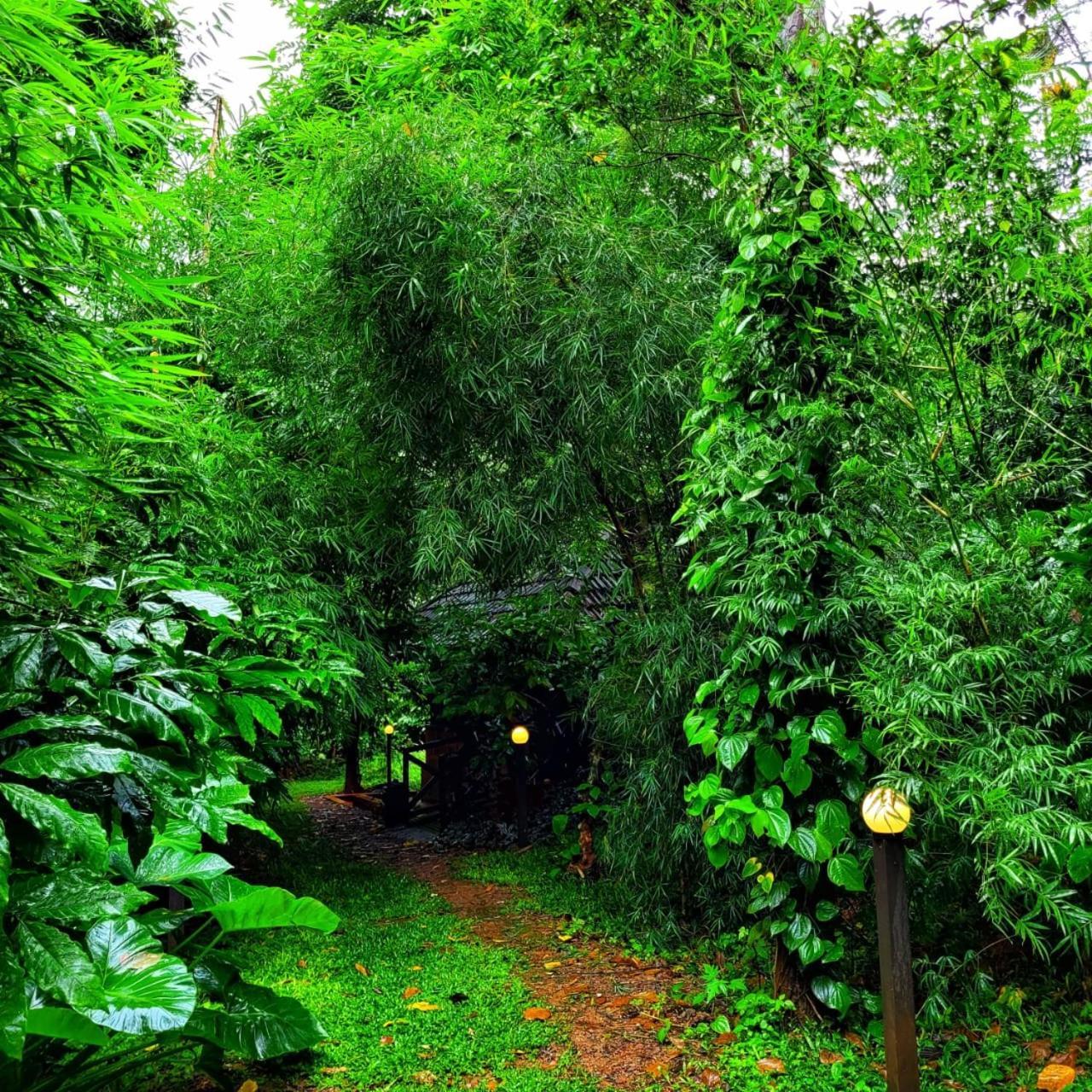 Greens Tree House & Wood House Sultan Bathery Dış mekan fotoğraf